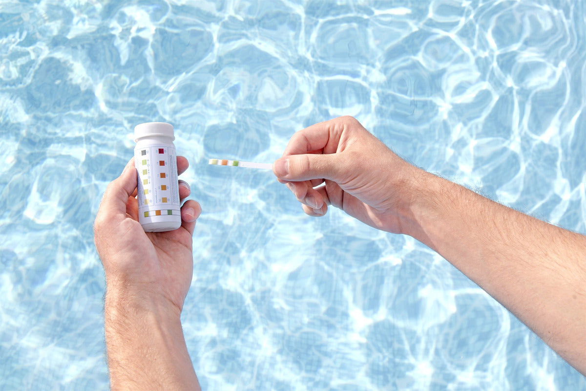 Kit Limpieza Alberca Bestway Piscina Desnatador Aspiración