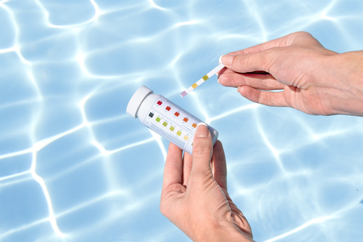 Kit Limpieza Alberca Bestway Piscina Desnatador Aspiración