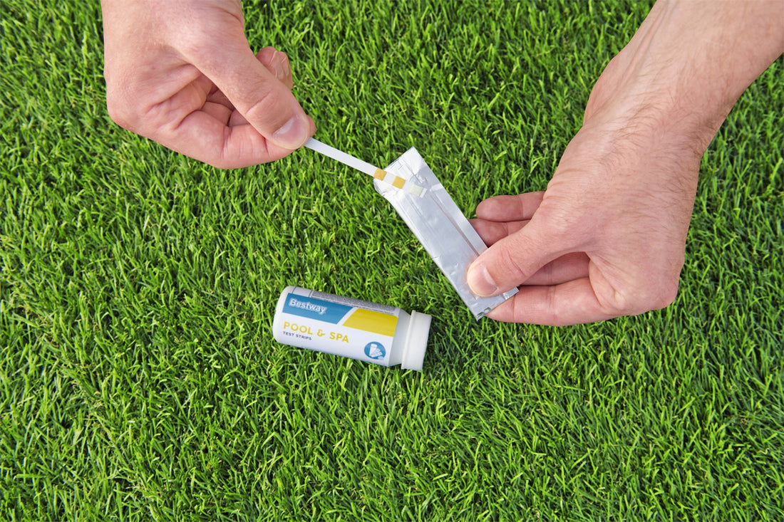 Kit Limpieza Alberca Bestway Piscina Desnatador Aspiración