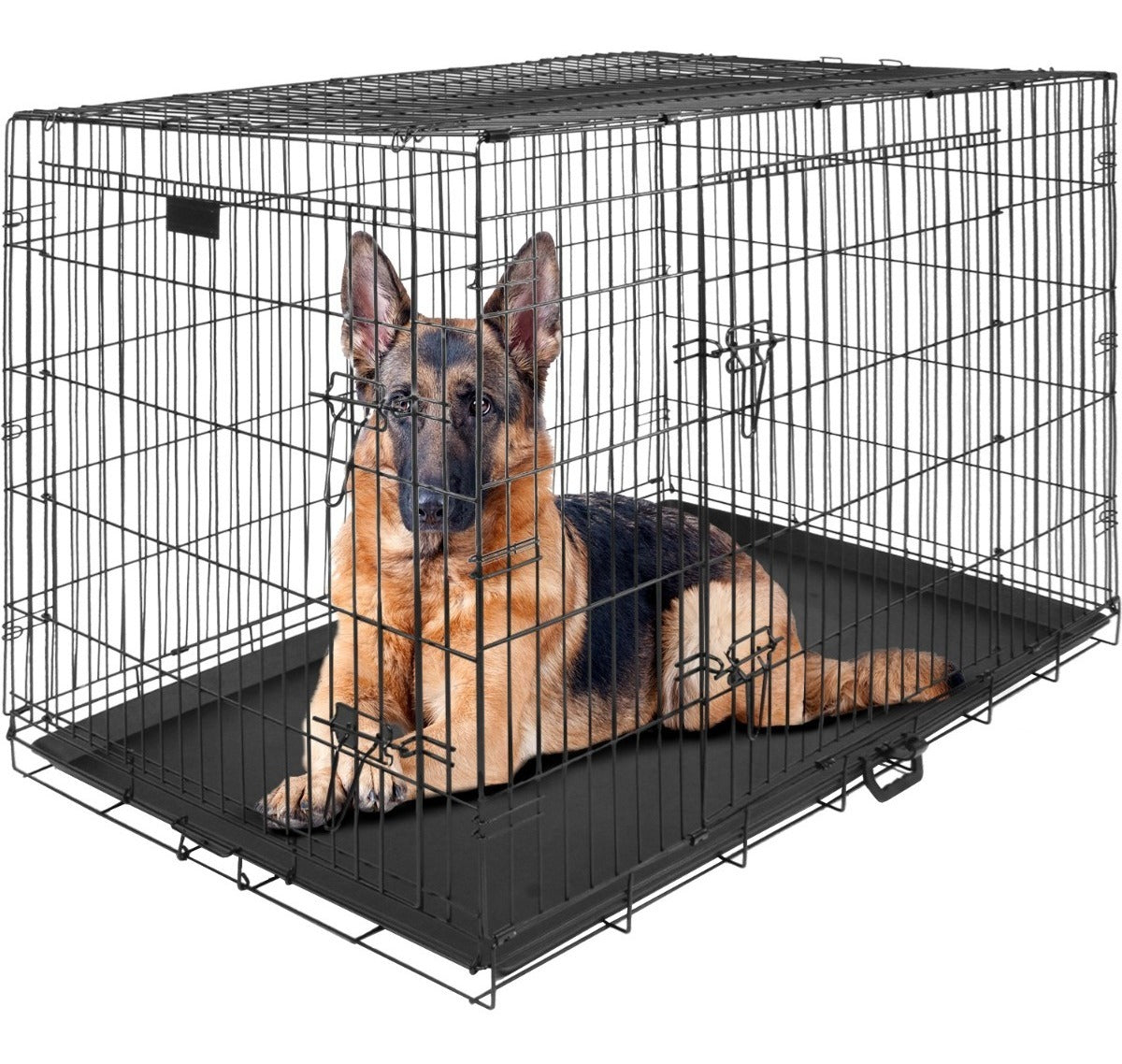 Las 7 mejores jaulas plegable para perros 